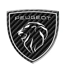 Android мултимедии за Peugeot